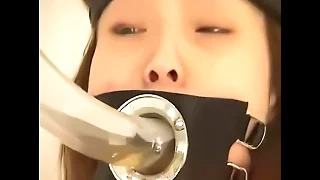 Japanese related eats s. on serfdom